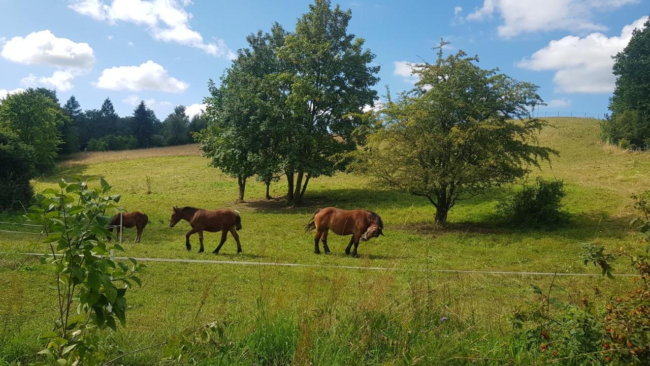 Przystanek Patulskie Pierszczewo Esterno foto